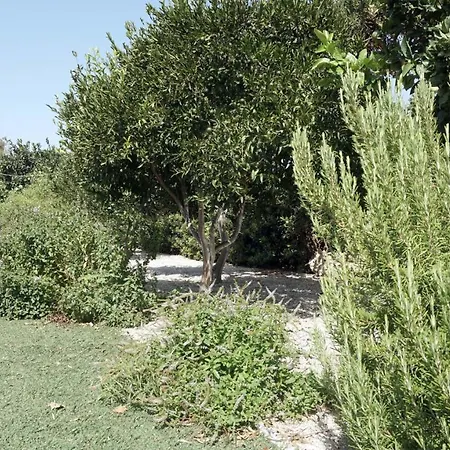 Studio Ioanna - Oasis Holiday Houses Kokkinos Pirgos Exterior photo