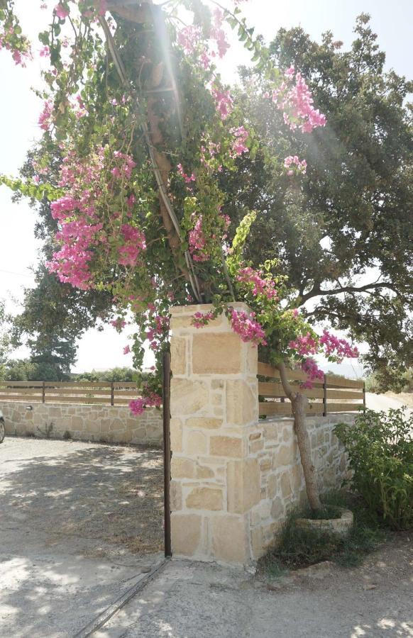 Ioanna - Oasis Apartment Kokkinos Pirgos